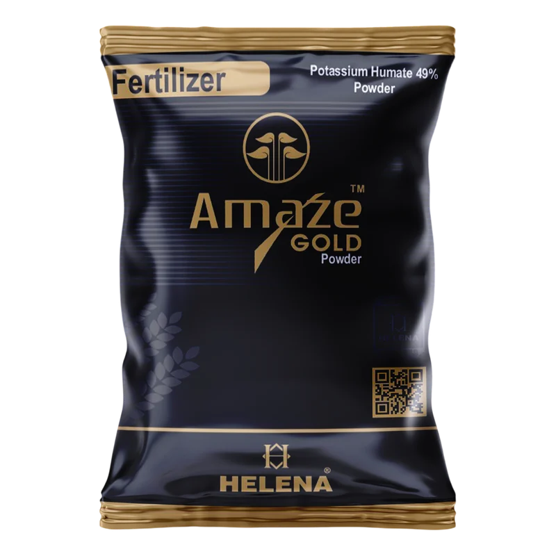AMAZE GOLD POWDER