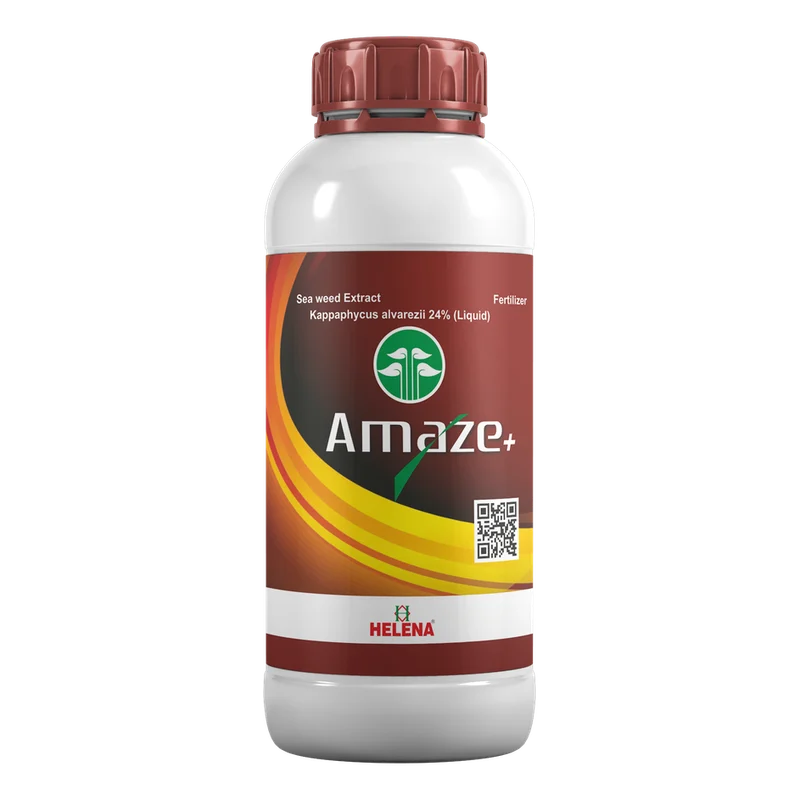 AMAZE+