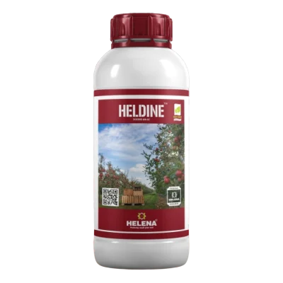 HELDINE
