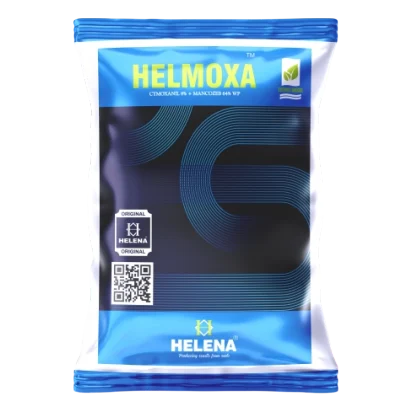 HELMOXA