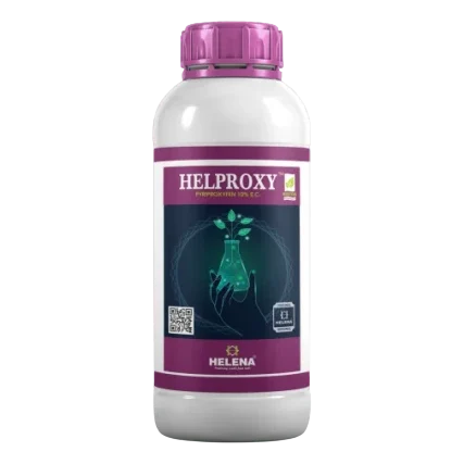 HELPROXY