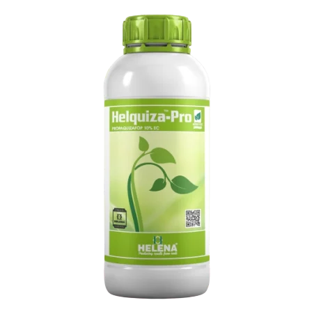 HELQUIZA PRO