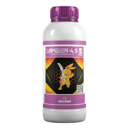 LAMBRIN-4.9