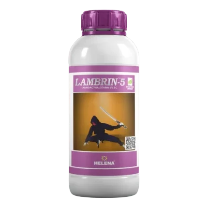 LAMBRIN 5