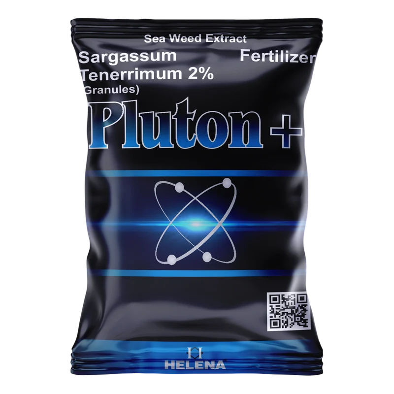 PLUTON+