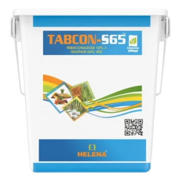 TABCON S65